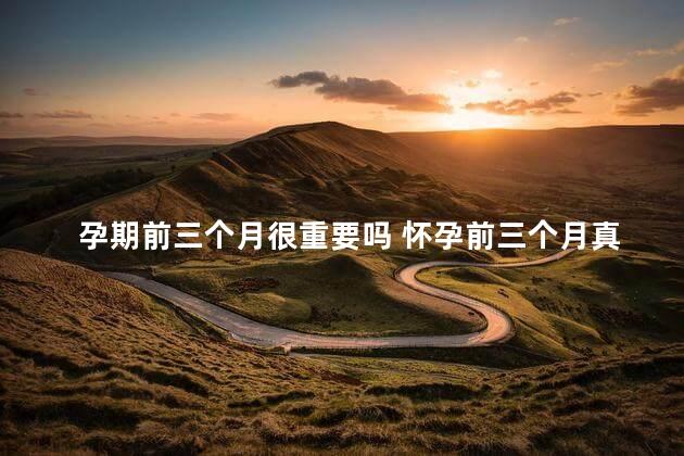 孕期前三个月很重要吗 怀孕前三个月真的很脆弱吗